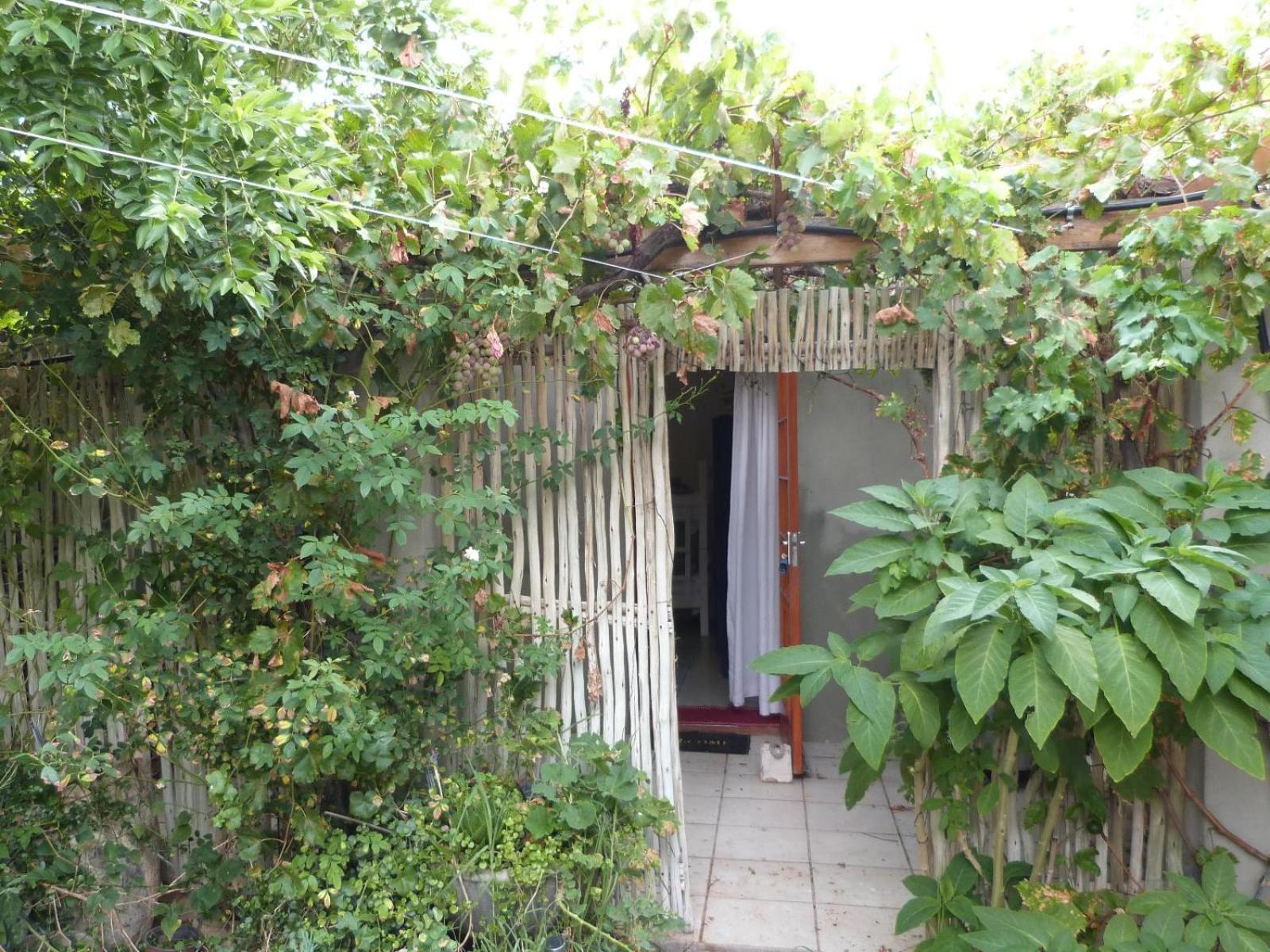 Apartmán Hannah'S Haven Studio Deluxe - No Loadshedding Beaufort West Exteriér fotografie